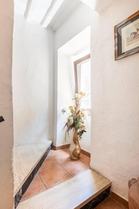 Apartamento Casa Giuly Pitigliano Exterior foto